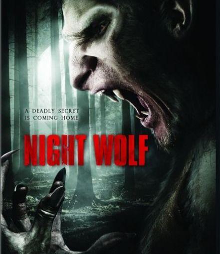 夜狼视频 国产合集在线,国产合集，精彩纷呈的视听盛宴